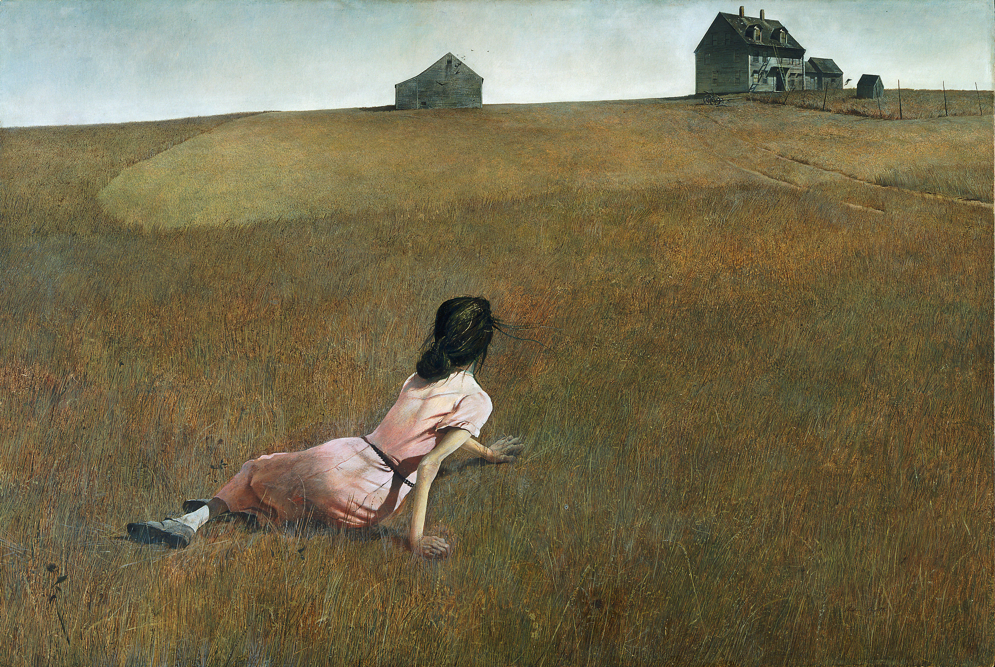 A painting of a girl in a pink dress laying in a open meadow with a farm house and home in the distance.