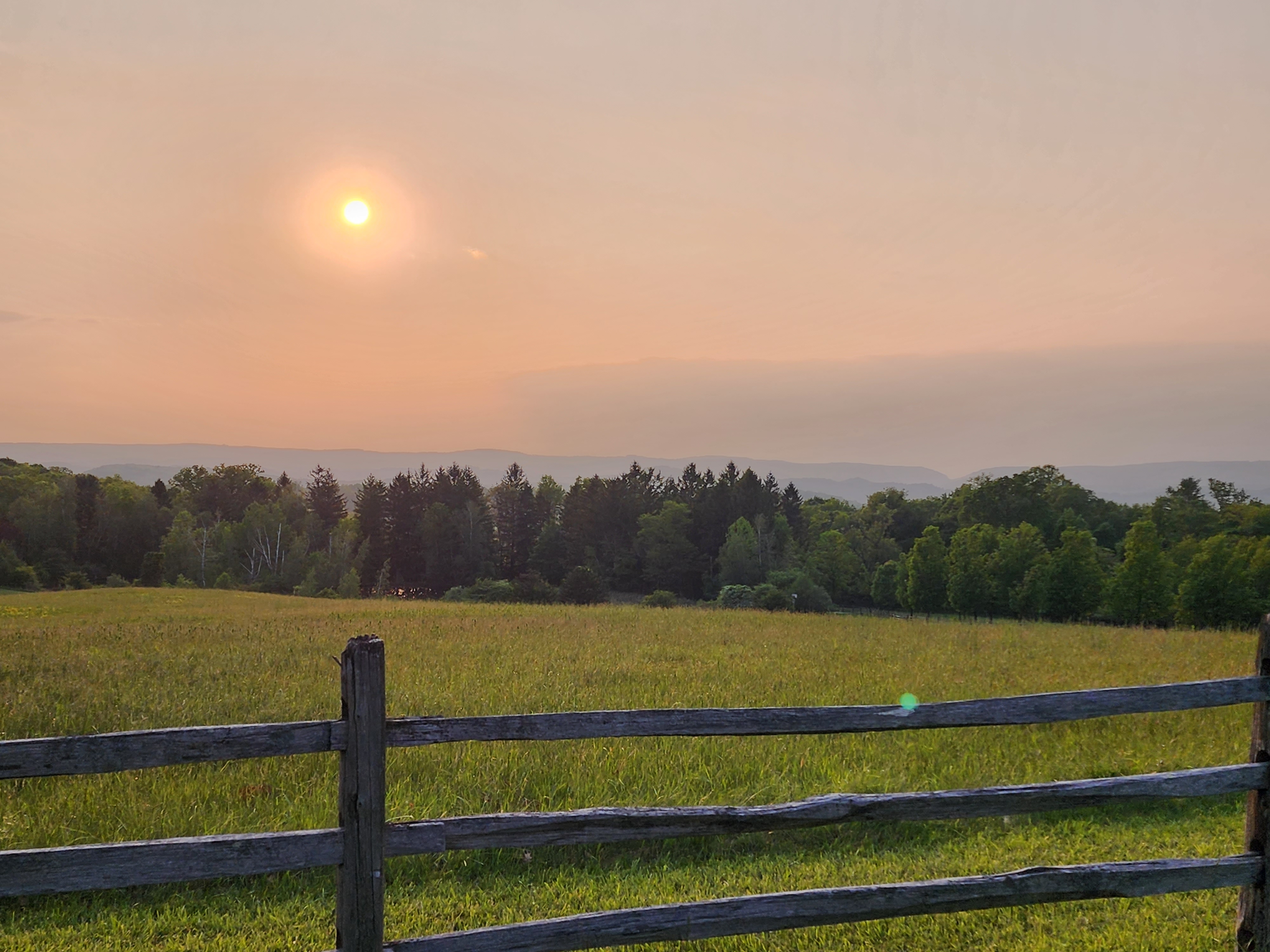 A pinkish orange sunset in the distance among a open field and green trees.