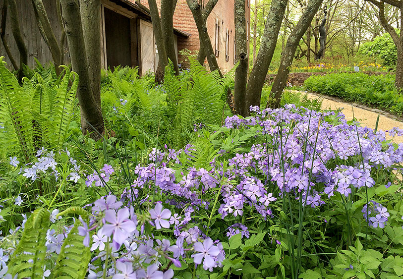 campus garden