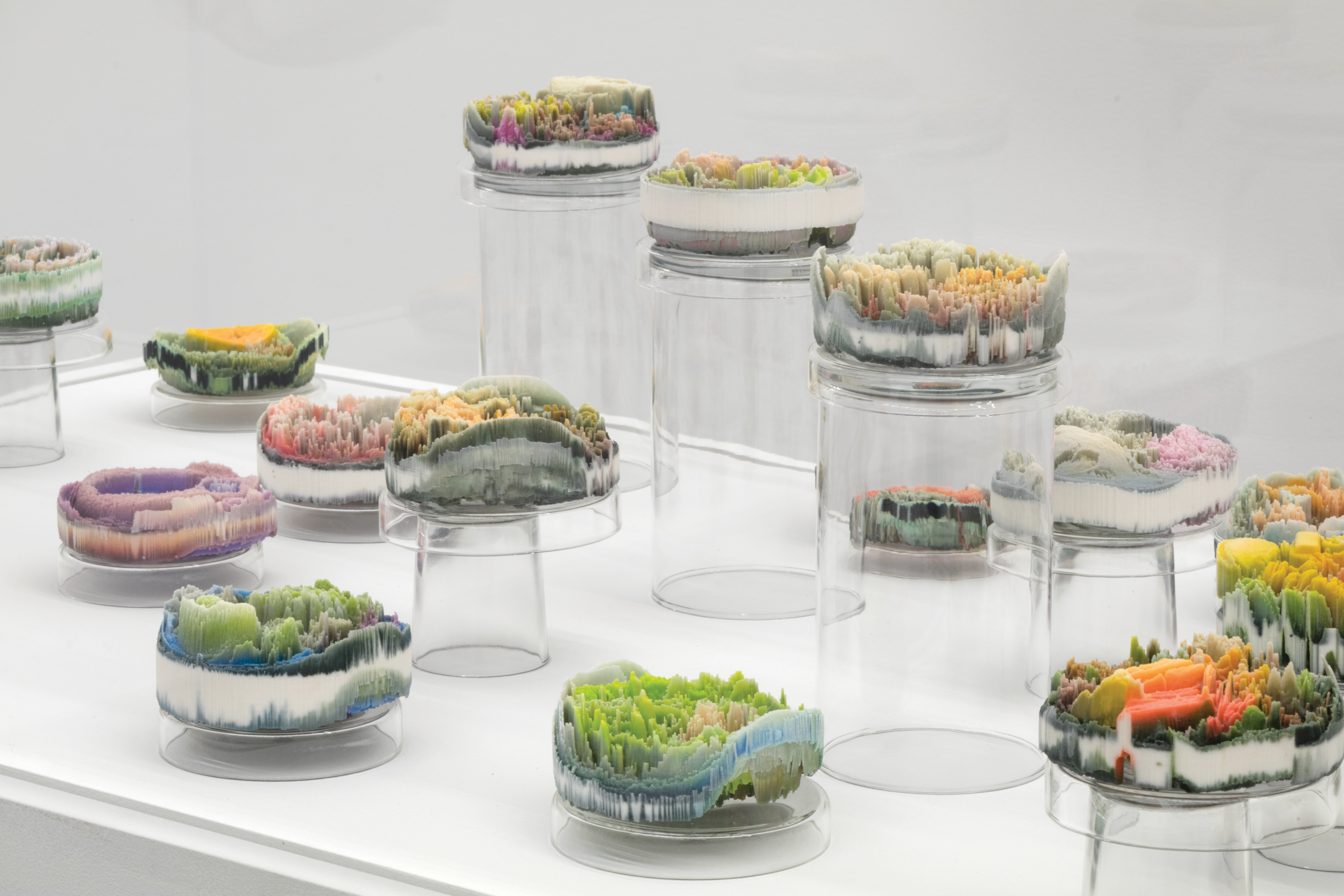 Suzanne Anker, Remote Sensing: Micro-Landscapes (detail), 2013–17, plaster, pigment, resin in 24 Petri dishes, each 4 x 4 x 2”. Courtesy of the artist.