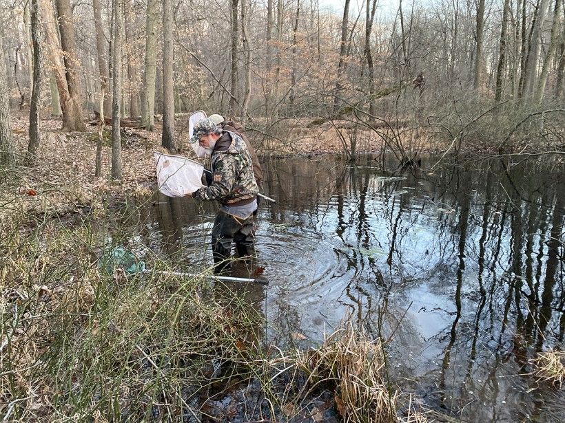 Chris Urban of the PA Fish & Boat Commission examines his net in hopes of finding eggs or larvae. Photo: Kristen Frentzel