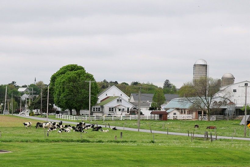  Farms in Honey Brook Township