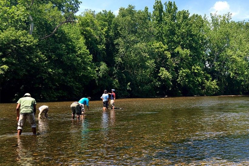 The interns enjoy the Brandywine Creek after a day of field work. © Nora Reynolds (National Park Service)