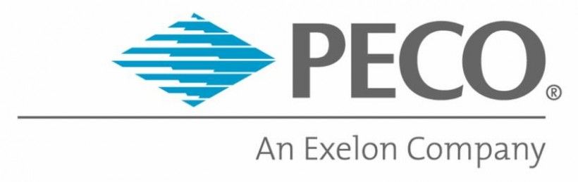 Exelon foundation