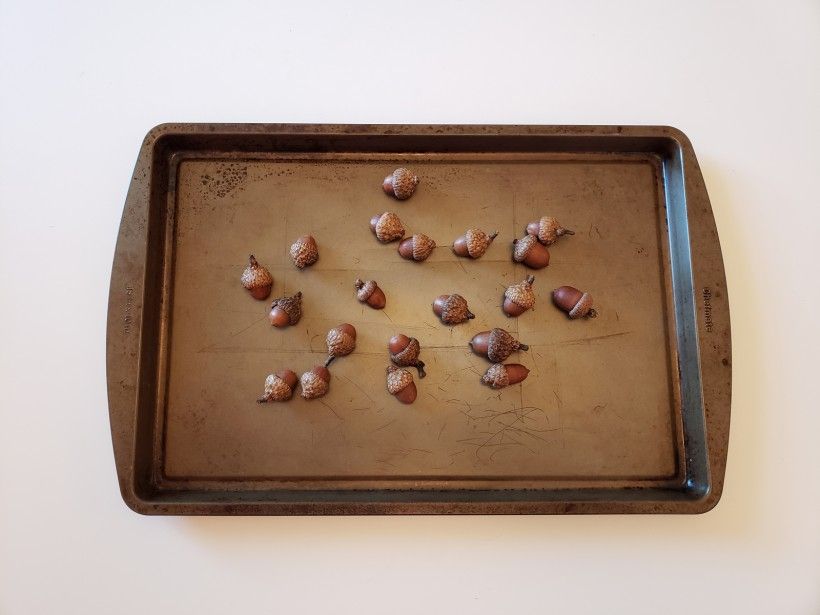 baking acorns