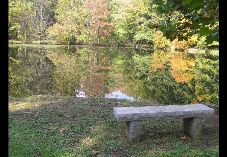 Waterloo Mills Pond With Bench