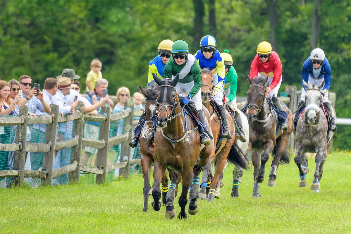 The Apprentice Jockey: Trodmore Hunt Races