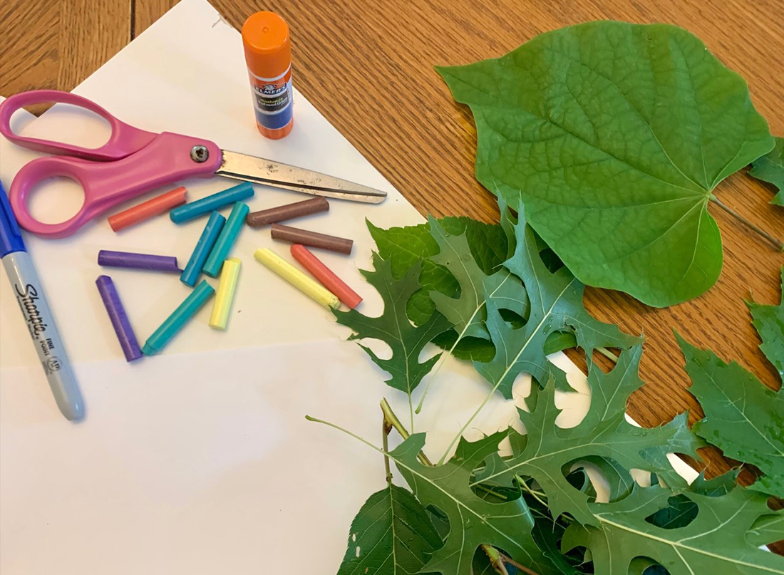 Supplies for leaf rubbing art project