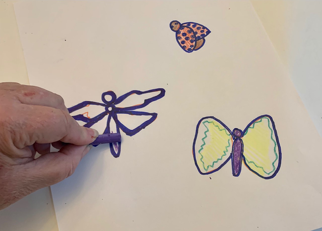 A drawing of a dragonfly, butterfly, and ladybug
