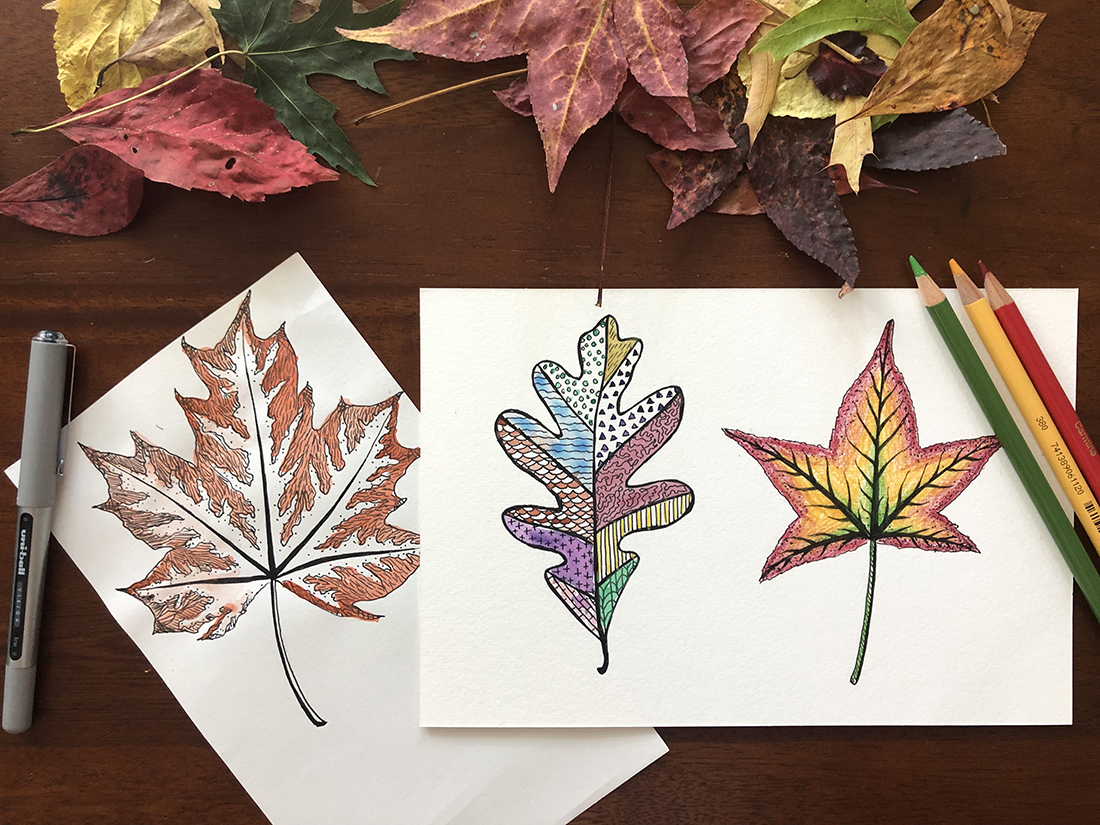 Photo of colorful fall leaf designs on two pieces of white paper, with an assortment of real fall leaves framed at the top of the photo