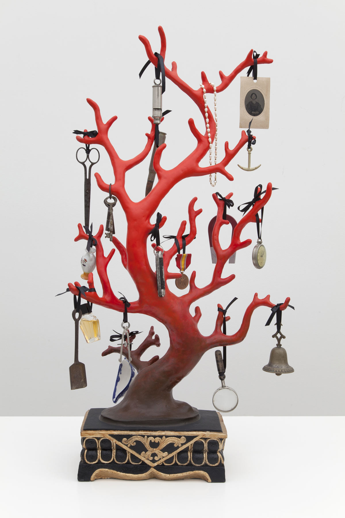 Mark Dion, Blood Red Coral, 2013