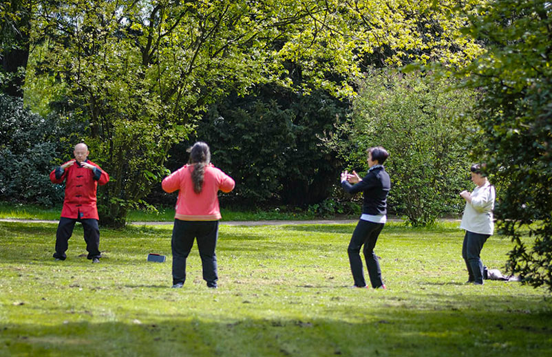 Four people doing tai chi in a park