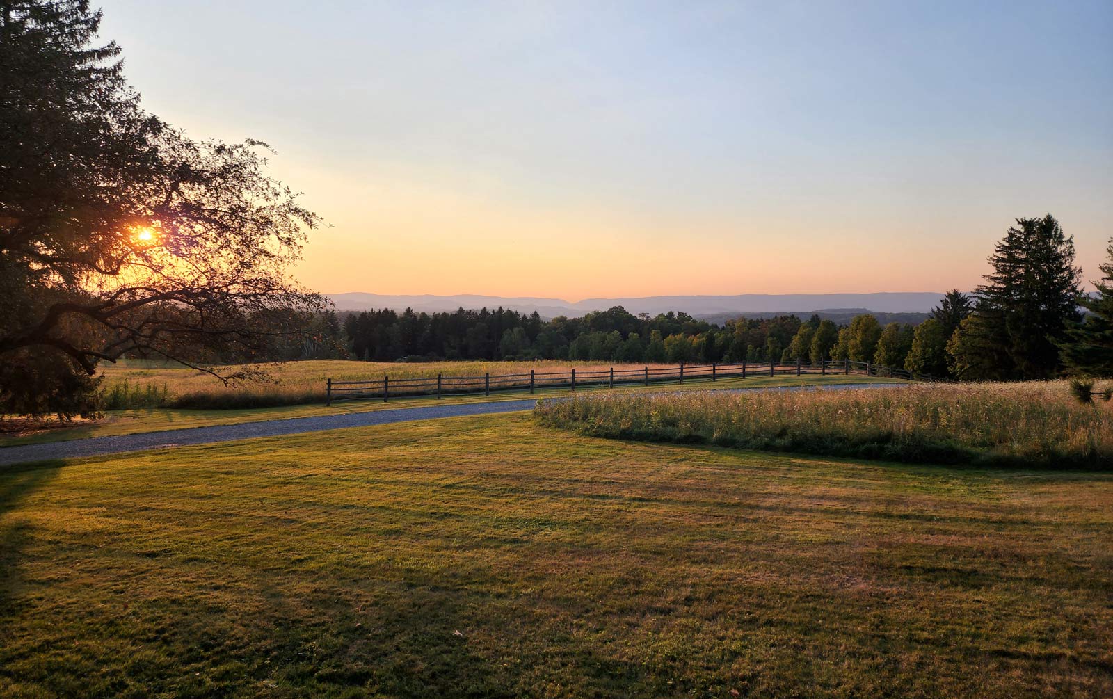 Sunsetting over a meadow with distant trees.