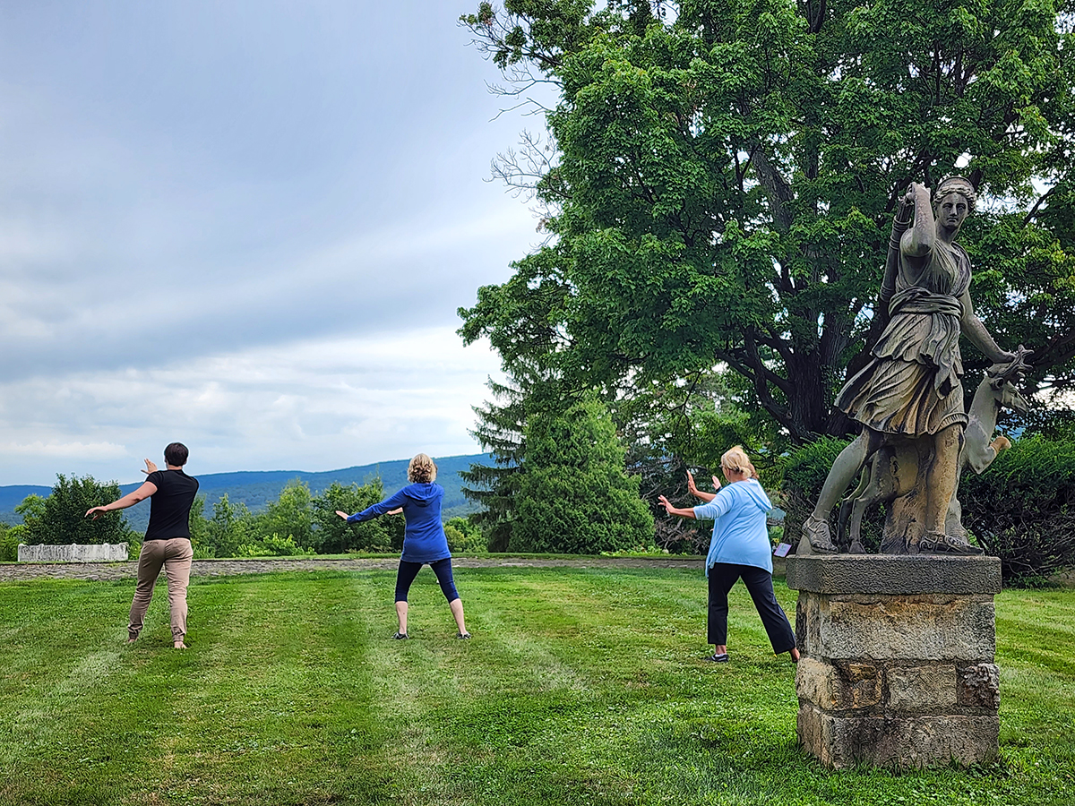 Three people practicing Tai Chi on a grassy lawn overlooking mountains on a cloudy day at Penguin Court Preserve.