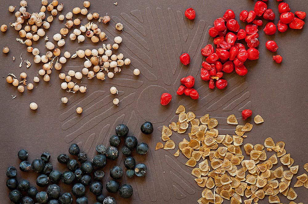 Colorful seeds scattered on a table.