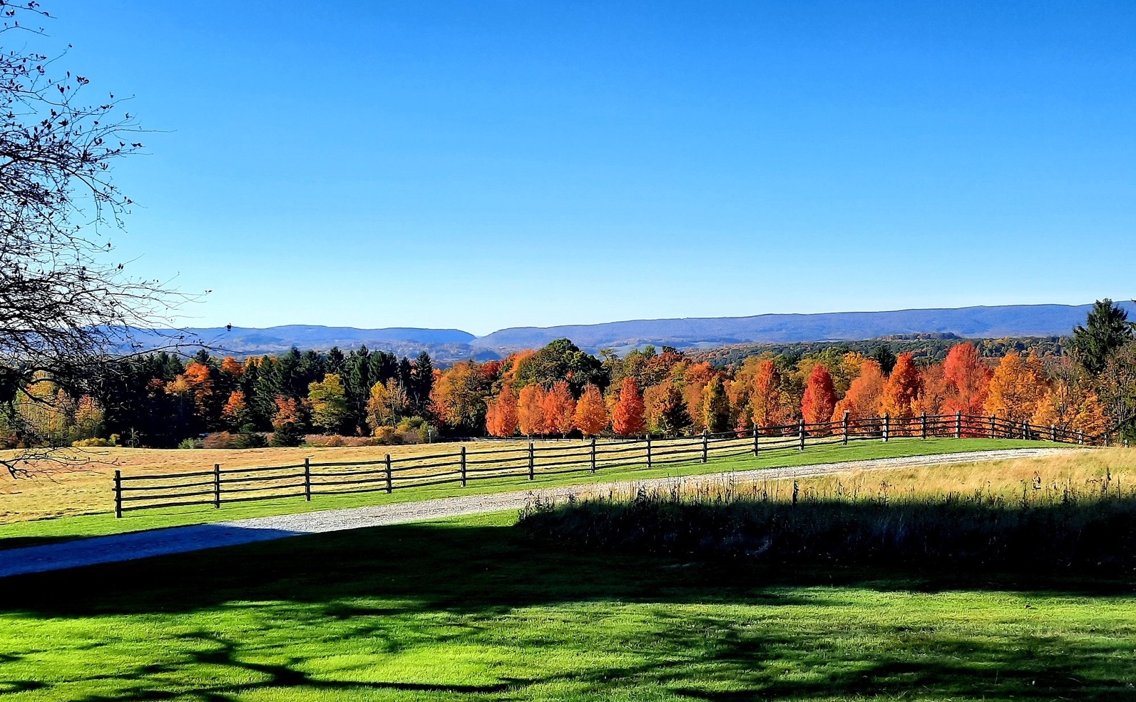 View from the Brandywine's Penguin Court Preserve in the fall. Bright blue skies are overtop of the mountains of Western PA, with colorful fall foliage adorning the forested landscape.
