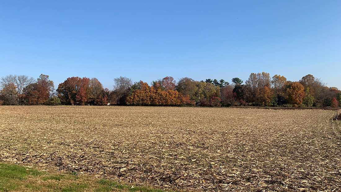 Hamorton Field in Bennet's Run Watershed