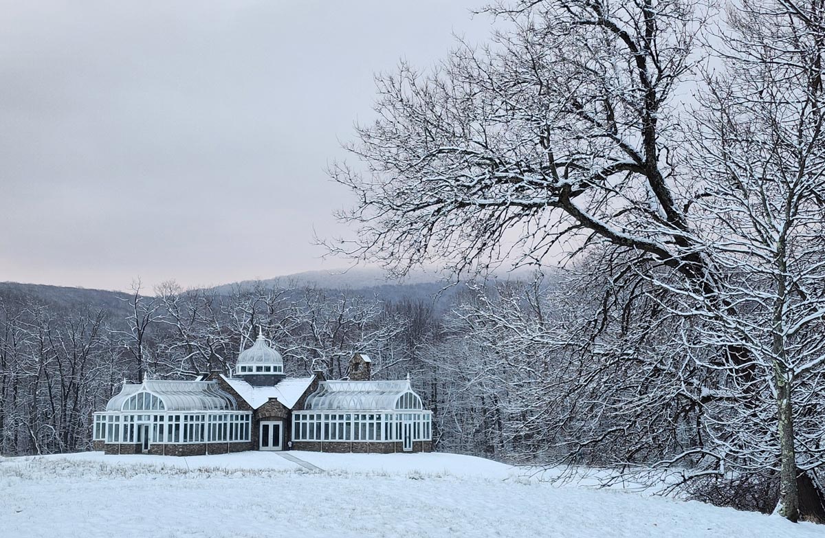 Snow scene of the Penguin Court conservatory with a tree in the foreground and mountains in the background.