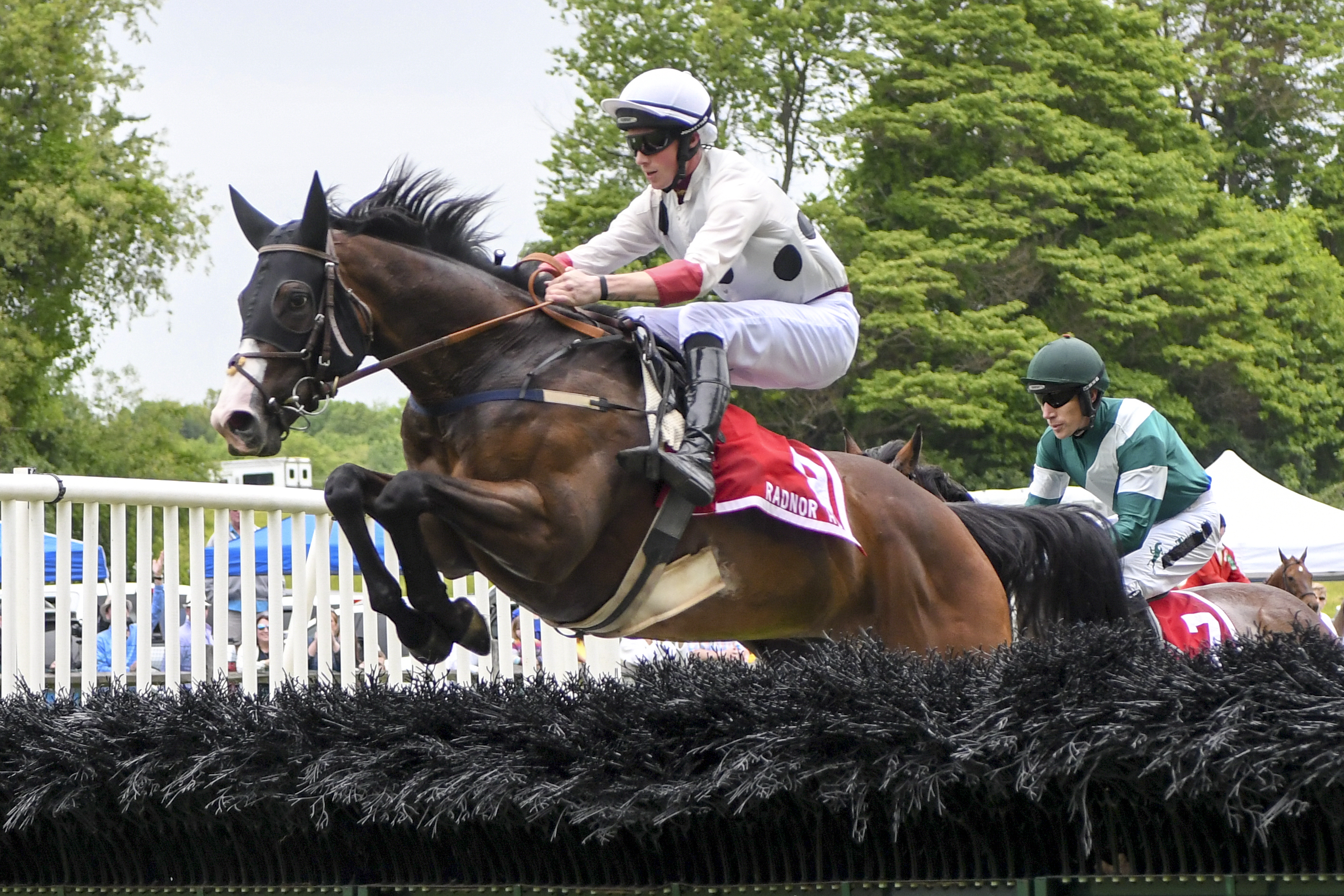 Horse jumping at the Radnor Hunt Races. Photo by Bob Plant