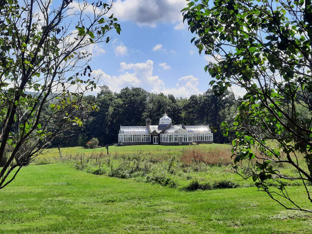 Summer meadow with a greenhouse