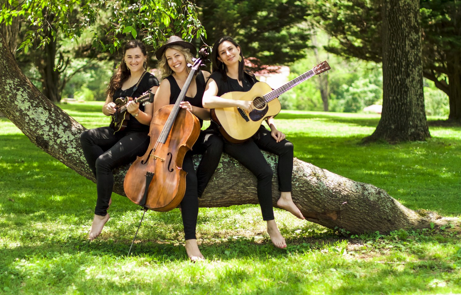 Concerts in the Courtyard Wicked Sycamore Brandywine Conservancy and