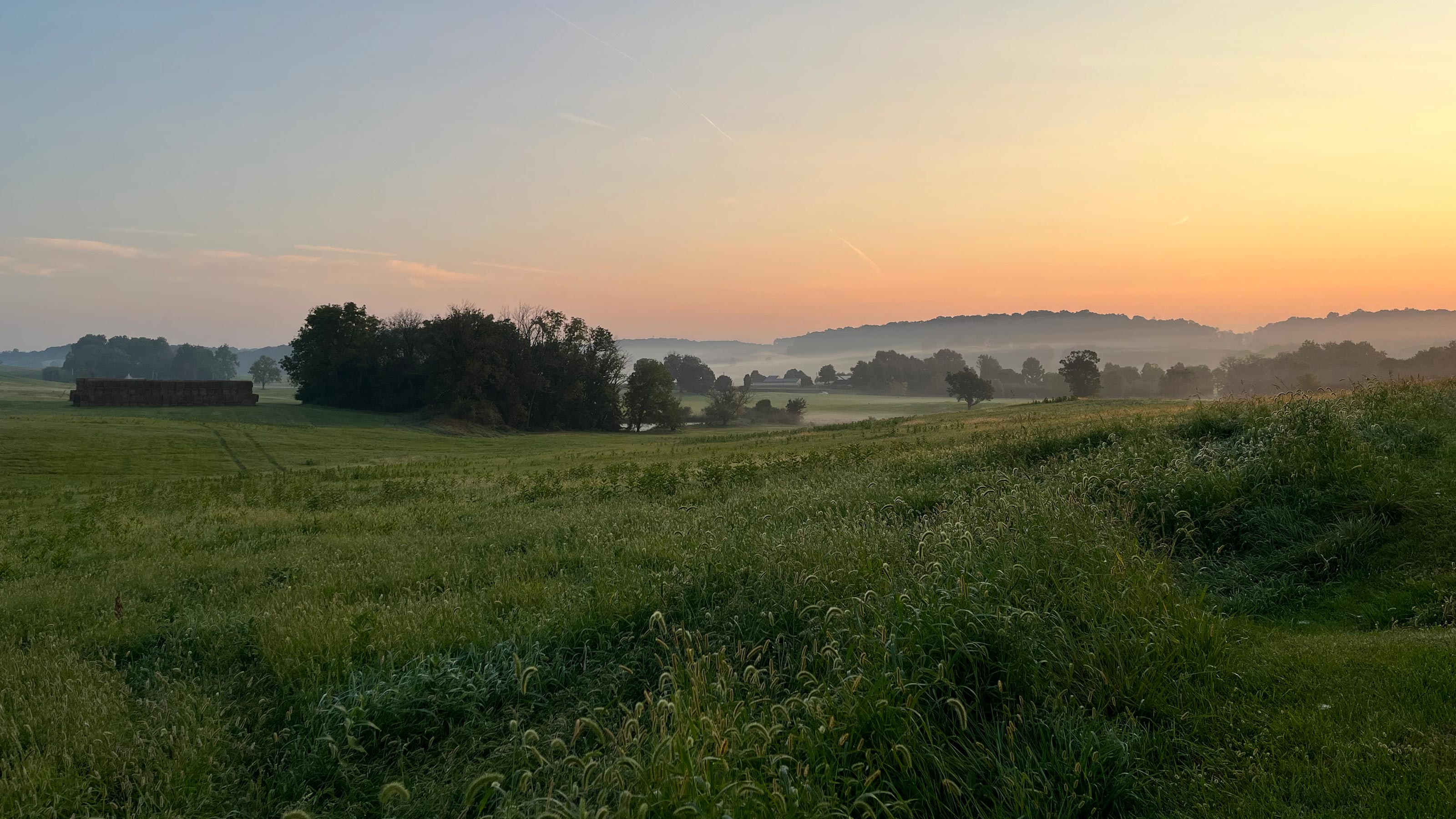 A green meadow during sunset
