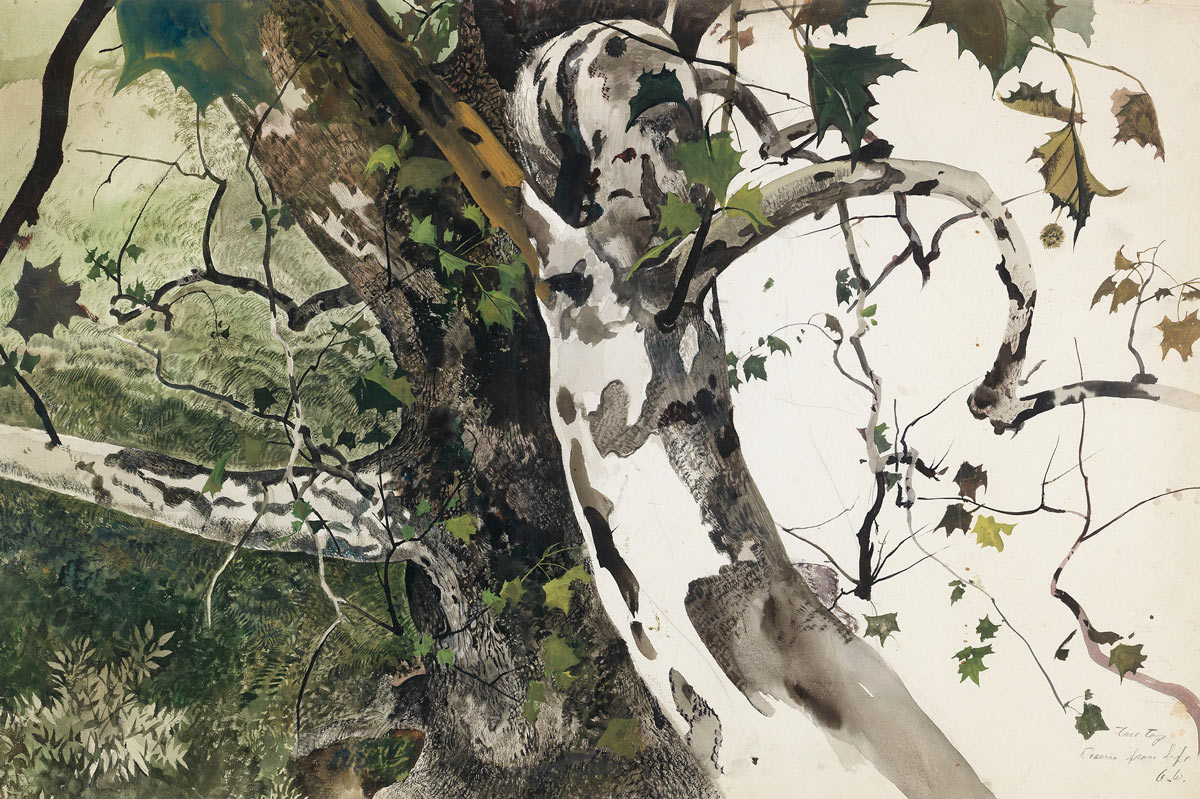 Andrew Wyeth, Buttonwood, Study for The Hunter, 1943. Drybrush on paper, B0575r. © 2023 Wyeth Foundation for American Art/Artists Rights Society (ARS) New York