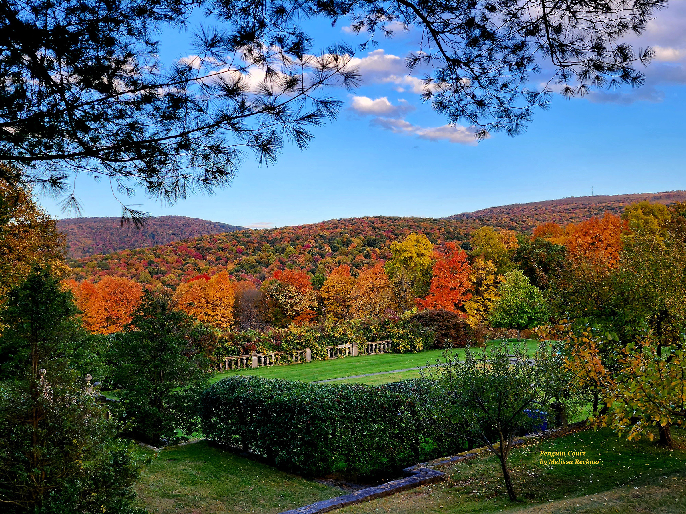 Autumn trees and landscape at Penguin Court Preserve. Photo by Melissa Reckner.