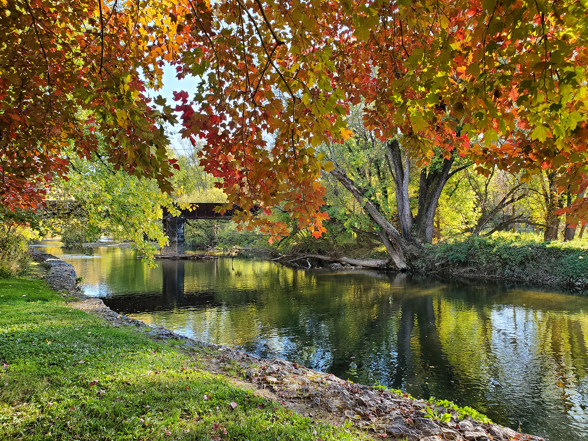 Autumn trees along the Brandywine Creek