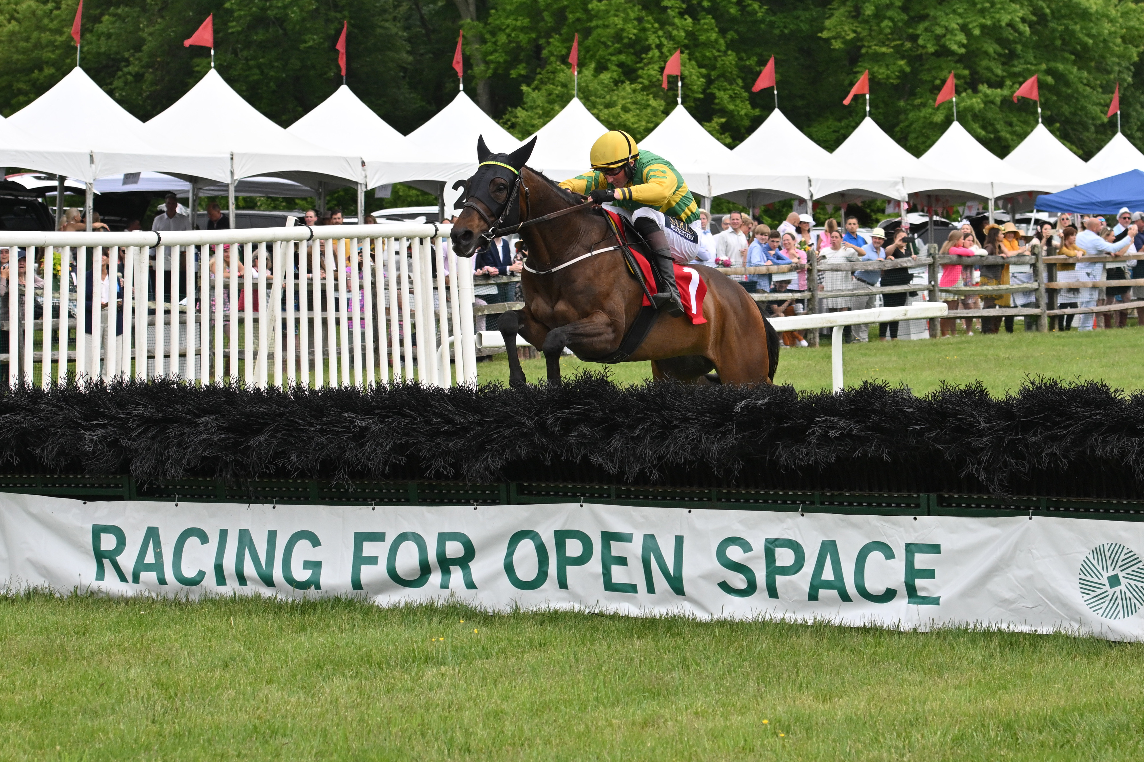a wide angle photo of a jockey on horseback jumping over a banner reading "Racing for Open Space"