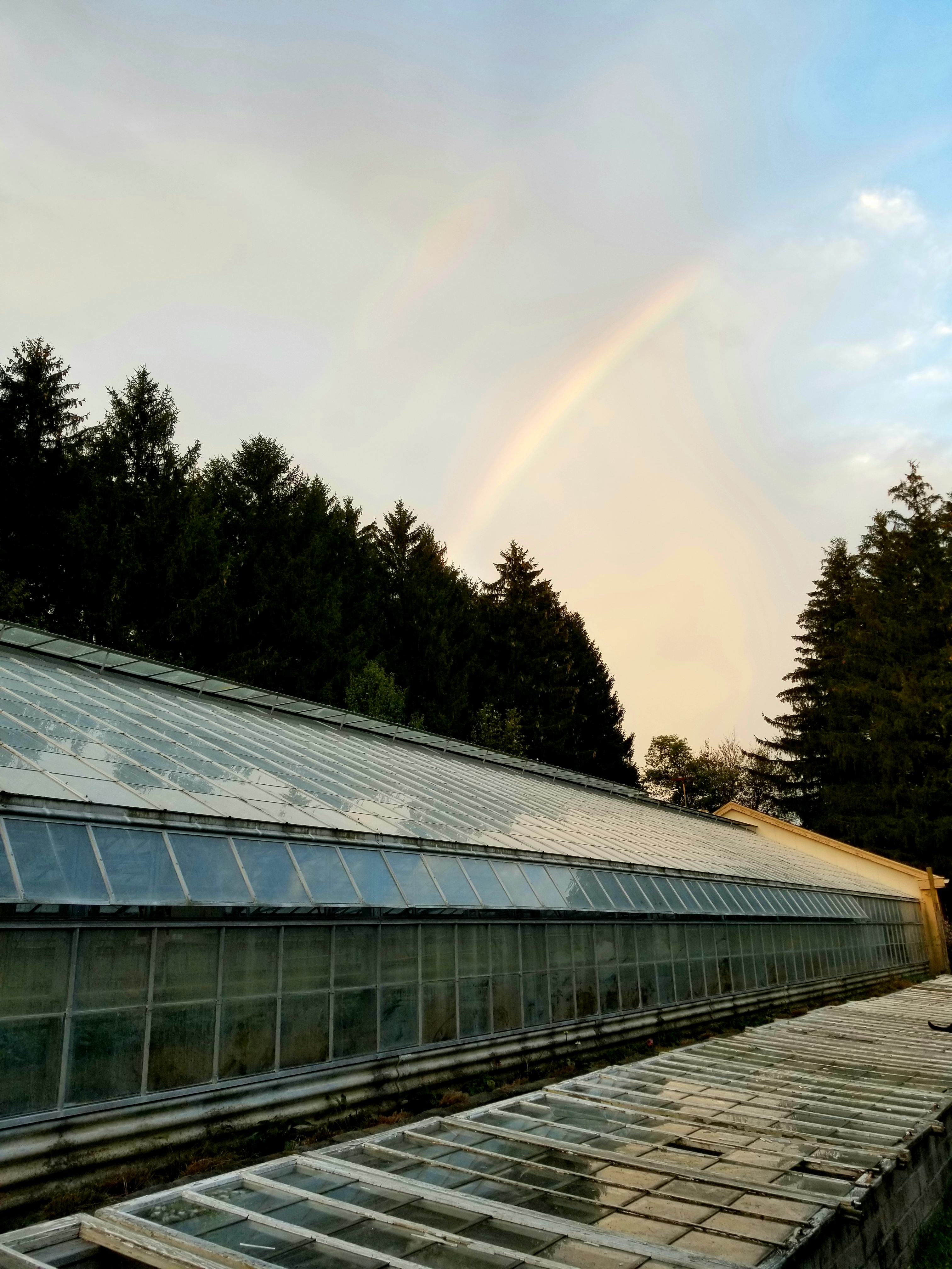 A rainbow is seen over a greenhouse.