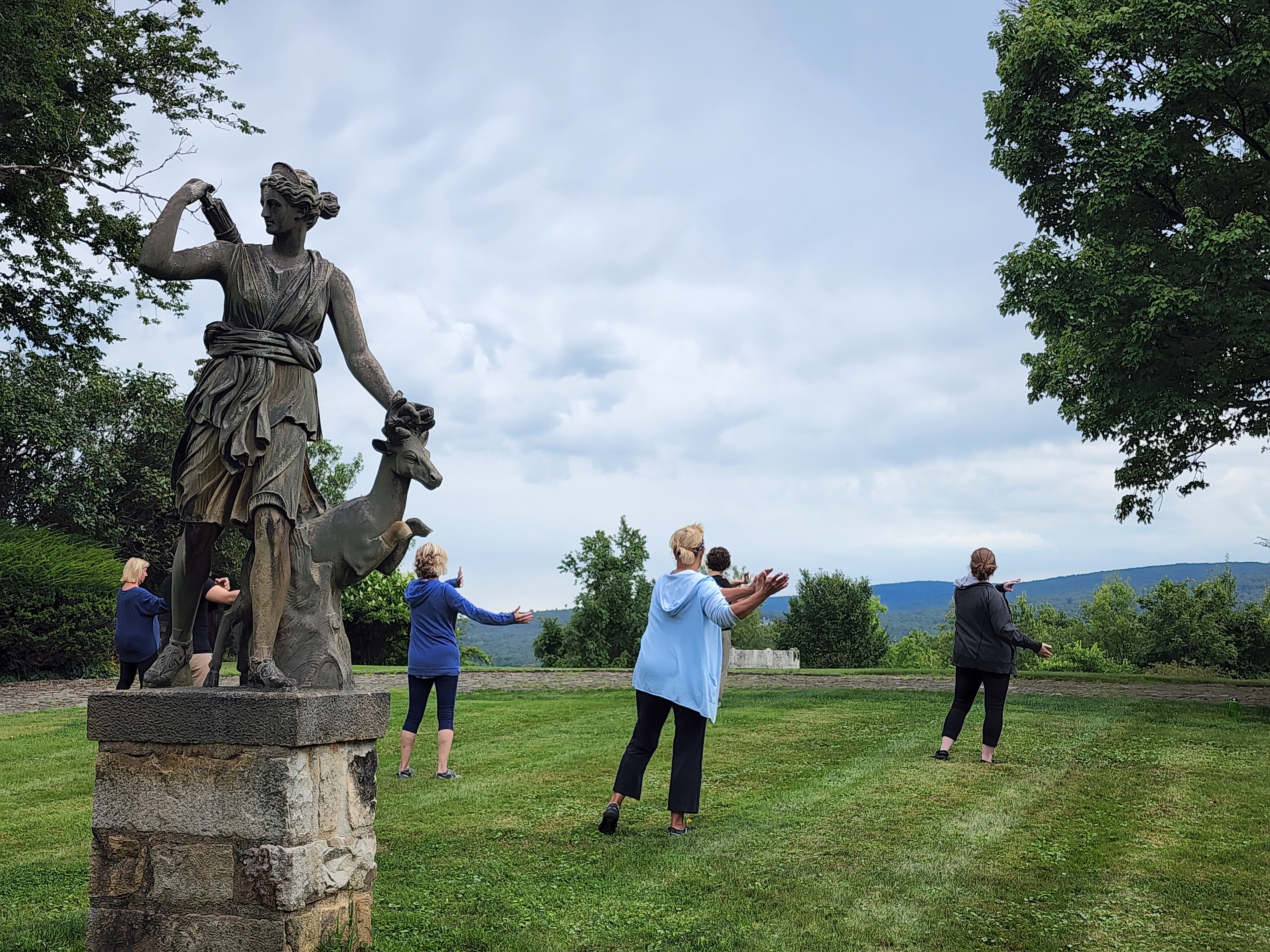 Individuals in an open grass area practicing Tai Chi on a summer day.