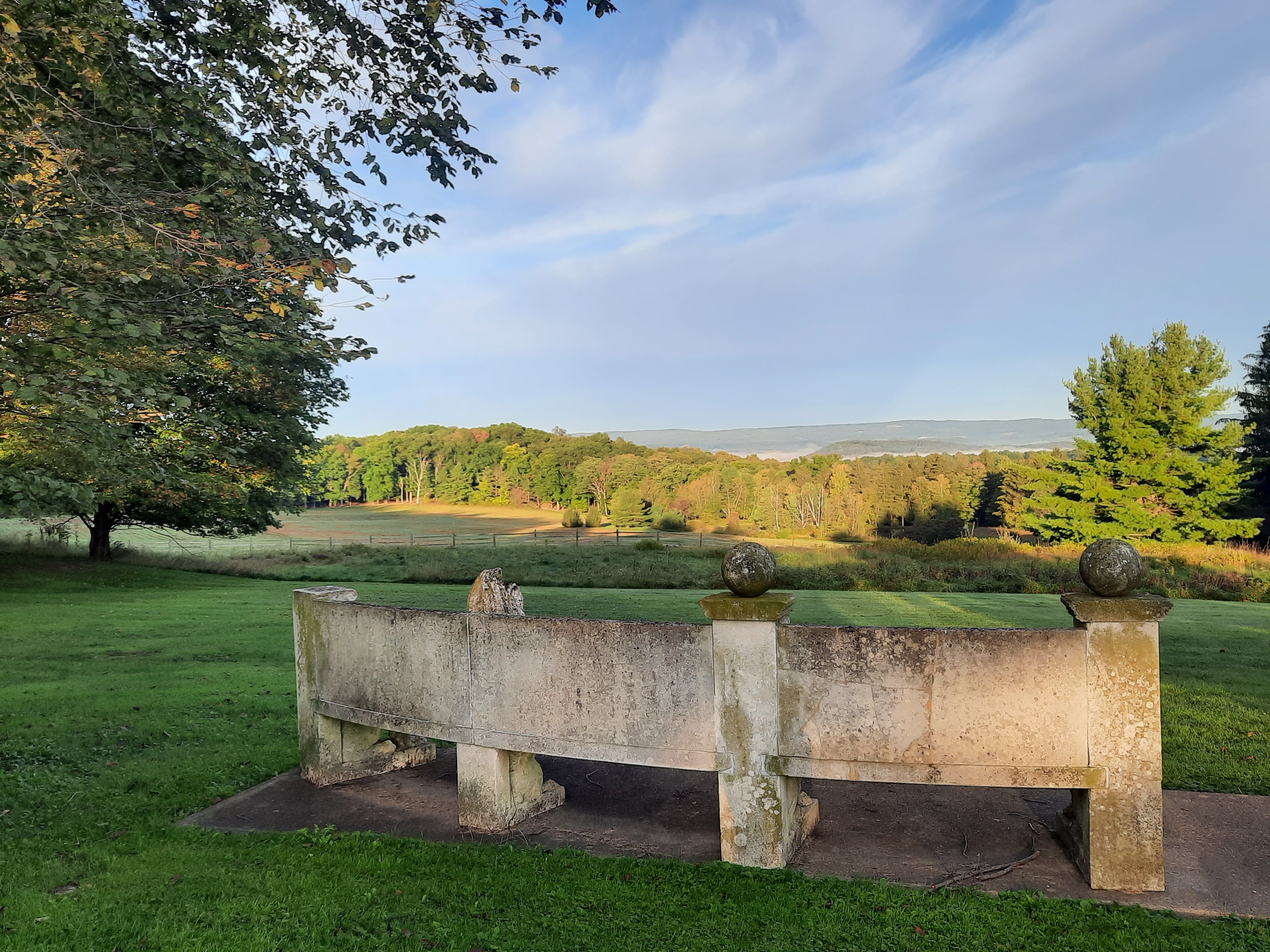 An open field in early fall with slight oranges and yellow hues on the tops of trees and a bench in the foreground.