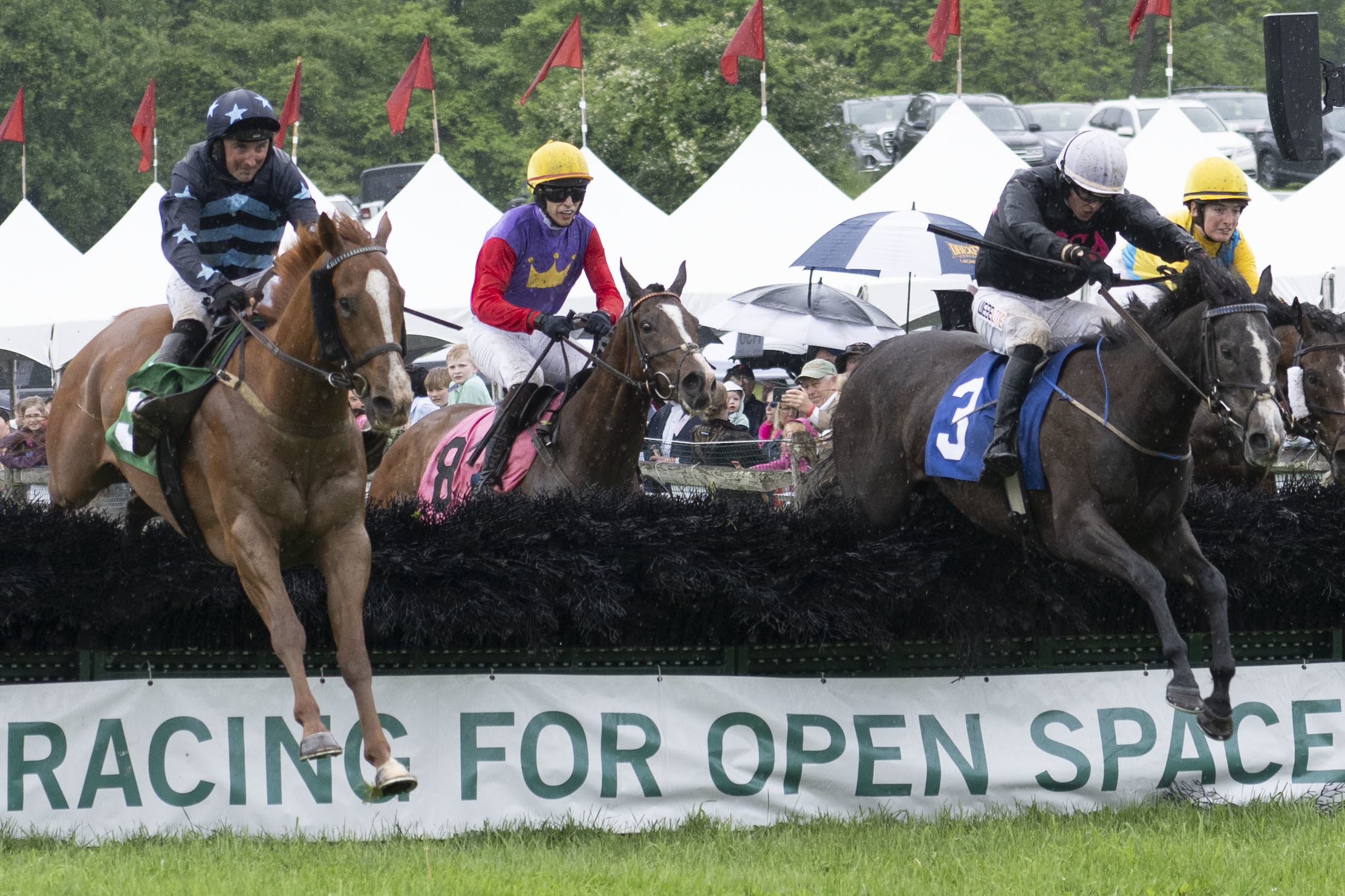 Action shot of racehorses jumping over the finish line above a banner reading "Racing for Open Space"