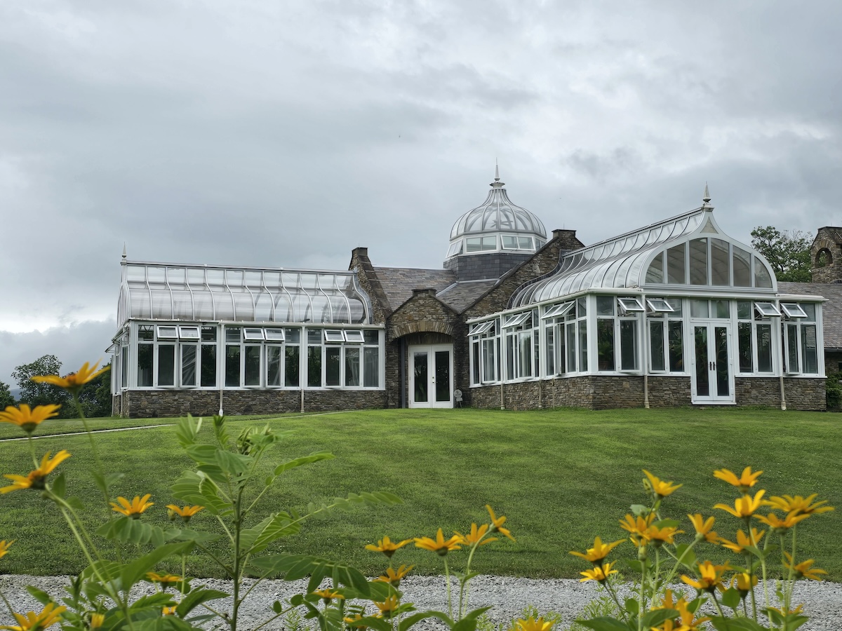 A glass conservatory on a hill with yellow flowers in the foreground