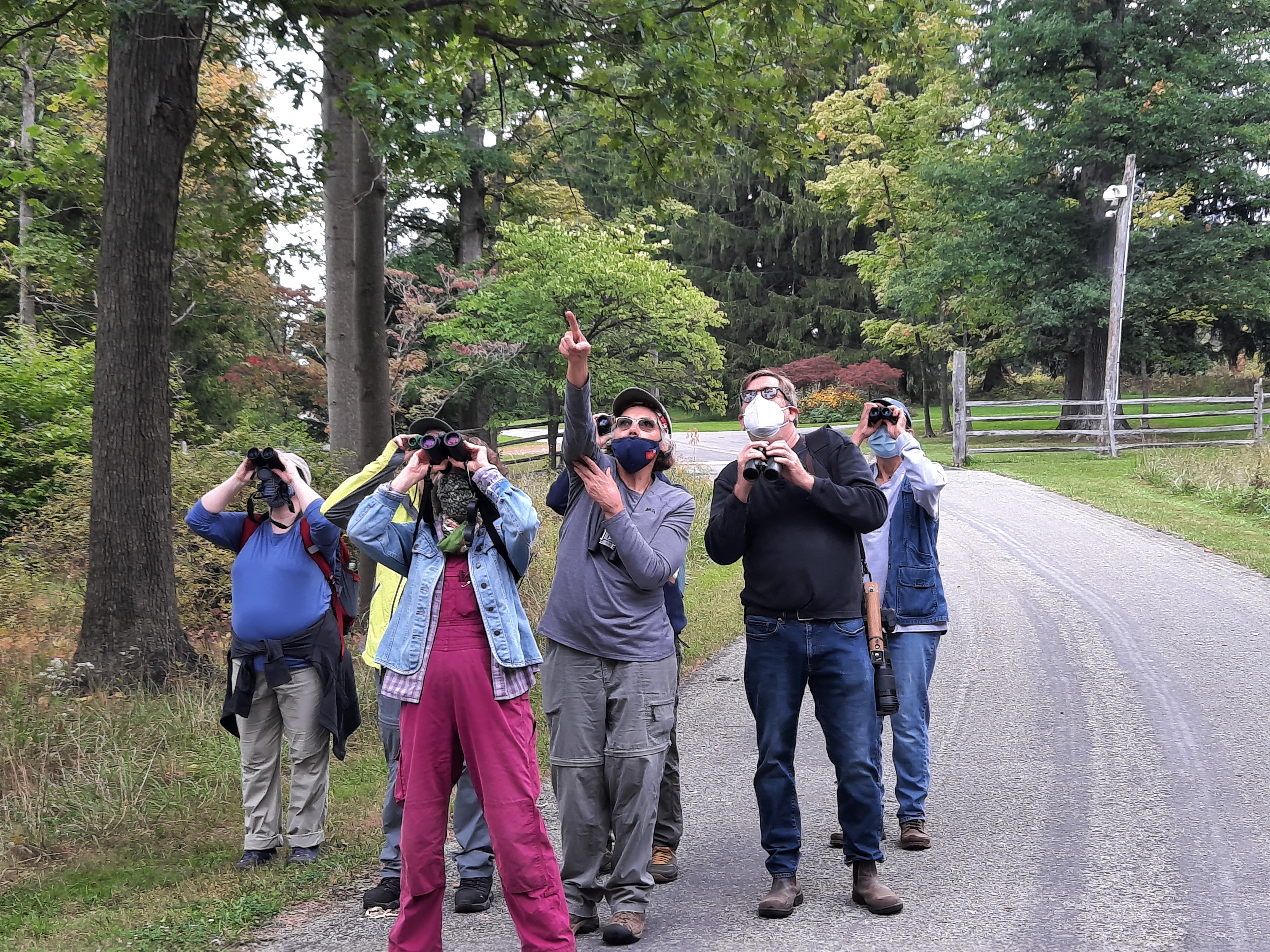 A group of people on a paved road surrounded by trees, birdwatching