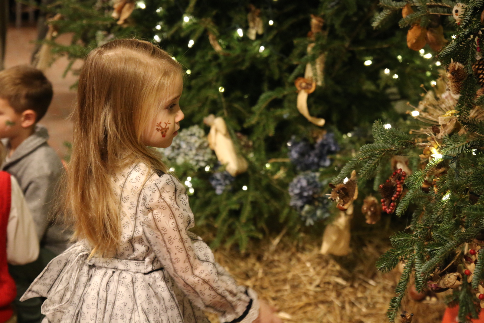 Child with blonde hair, in a white dress, looking at ornaments on a green Christmas tree