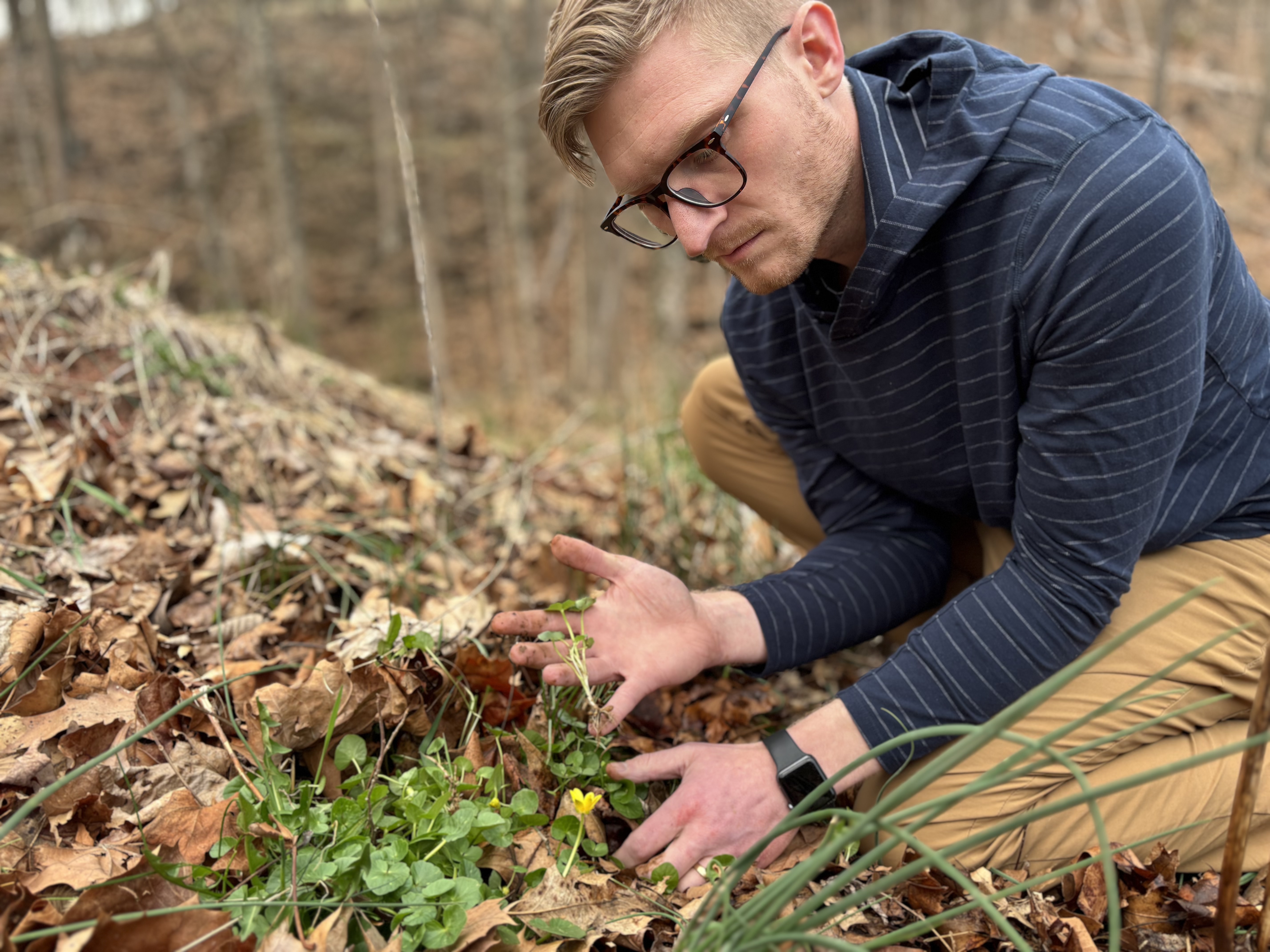 A man crouching in a natural, wooded environment, focusing his attention downwards on some small green plants with tiny yellow flowers growing among a scattering of brown, dead leaves.