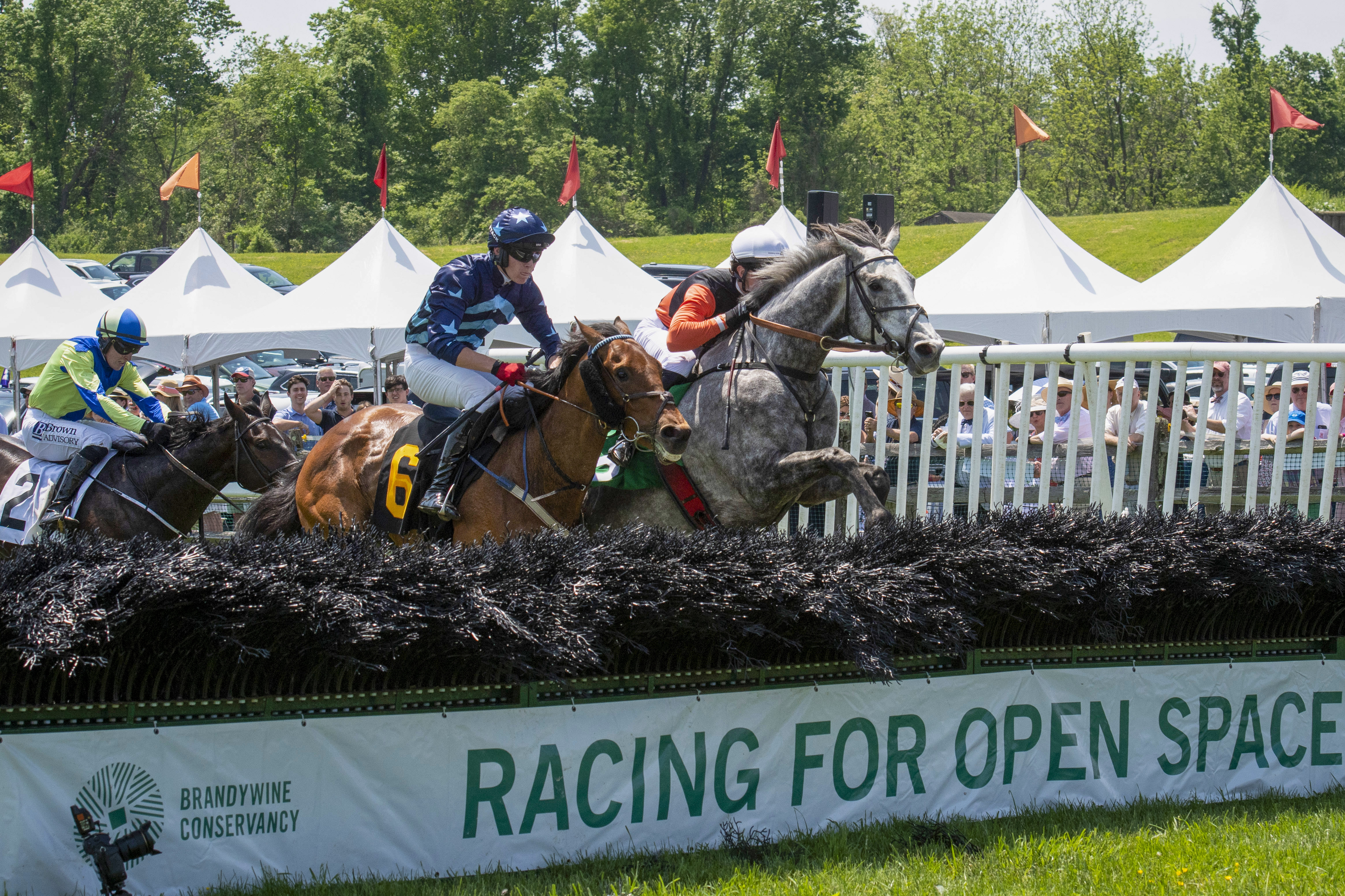 Photo of horses jumping