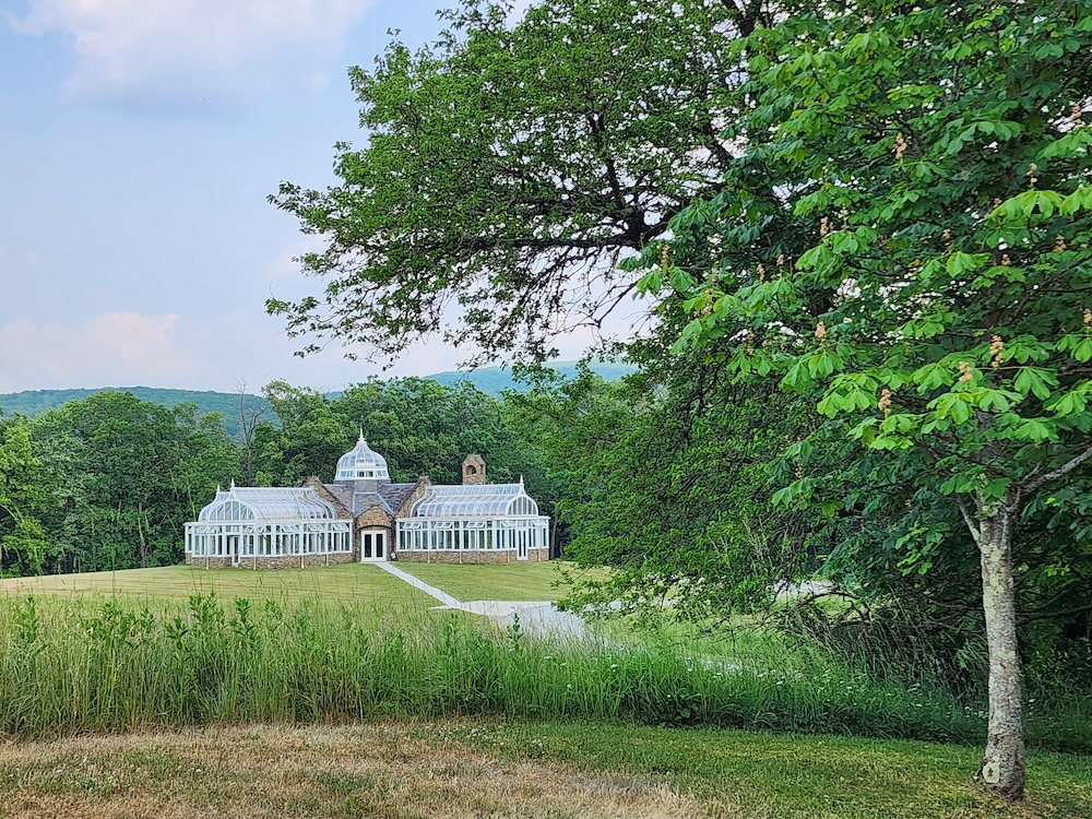 A large glass greenhouse with a domed center sits in the middle of a wide grassy field, with a straight path leading to its entrance and forested hills behind it. A leafy tree frames the right side while an overcast sky hangs above.