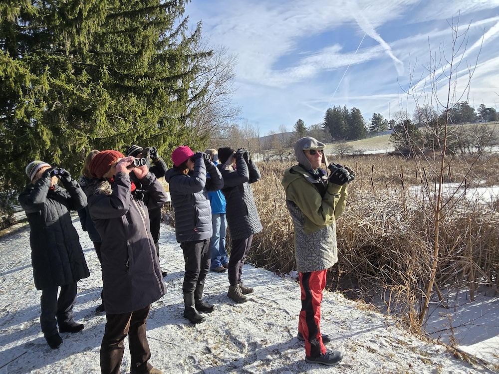 A group of people dressed in winter clothing stand outdoors on a snowy path, each holding binoculars and looking out toward an open field and trees. The scene suggests they are birdwatching or observing wildlife on a cold, sunny day.