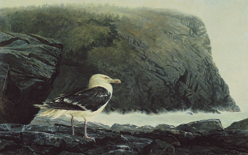 A large seabird stands alone on dark coastal rocks beside rough, foaming water, with steep cliffs rising behind it. The scene feels quiet and isolated, emphasizing the bird’s resilience against a harsh, windswept landscape.