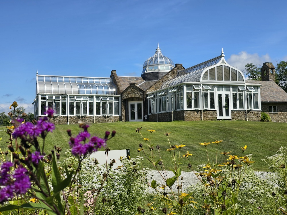 A glass conservatory up on a lush green hill, surrounded by purple and yellow wildflowers