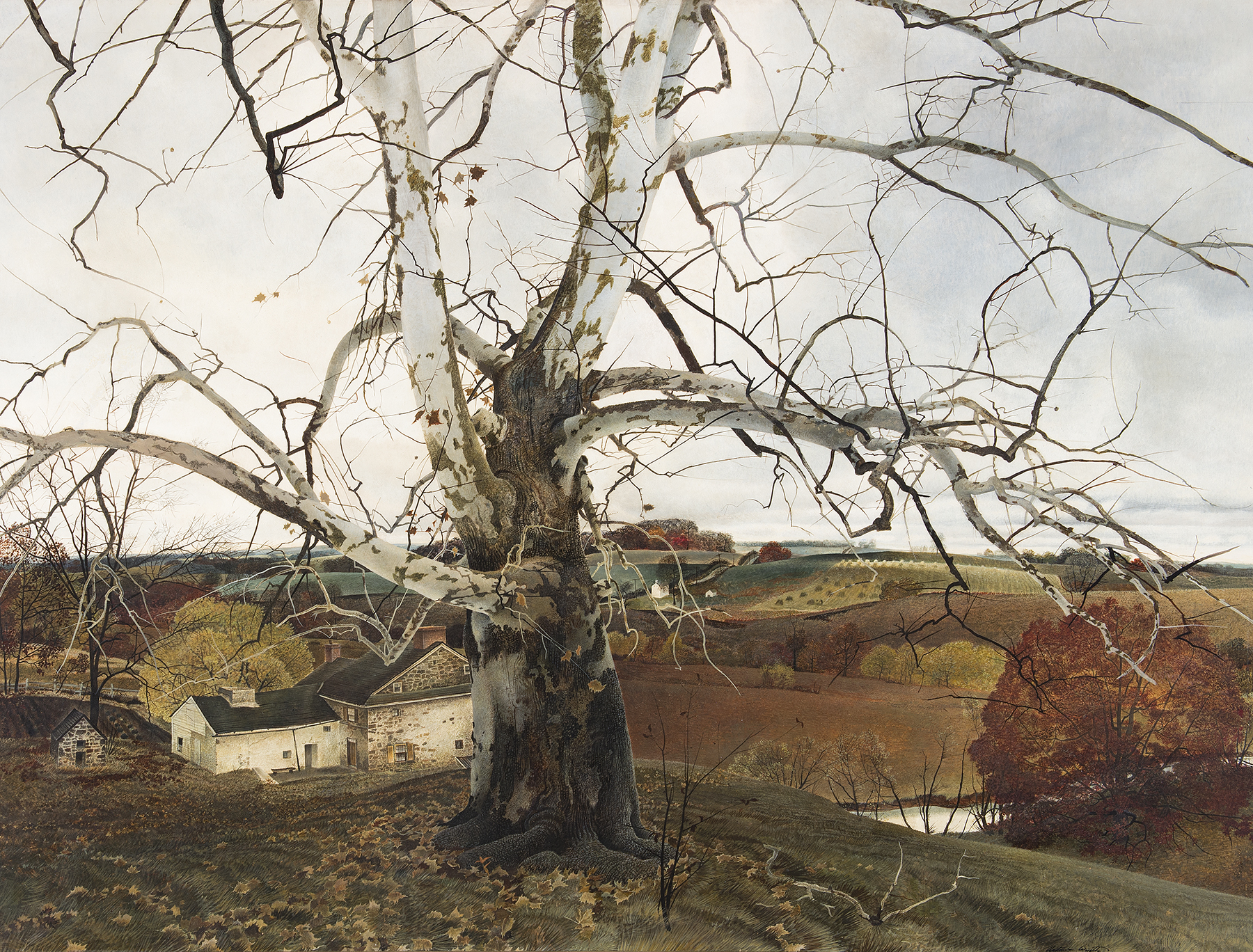 Andrew Wyeth, Pennsylvania Landscape