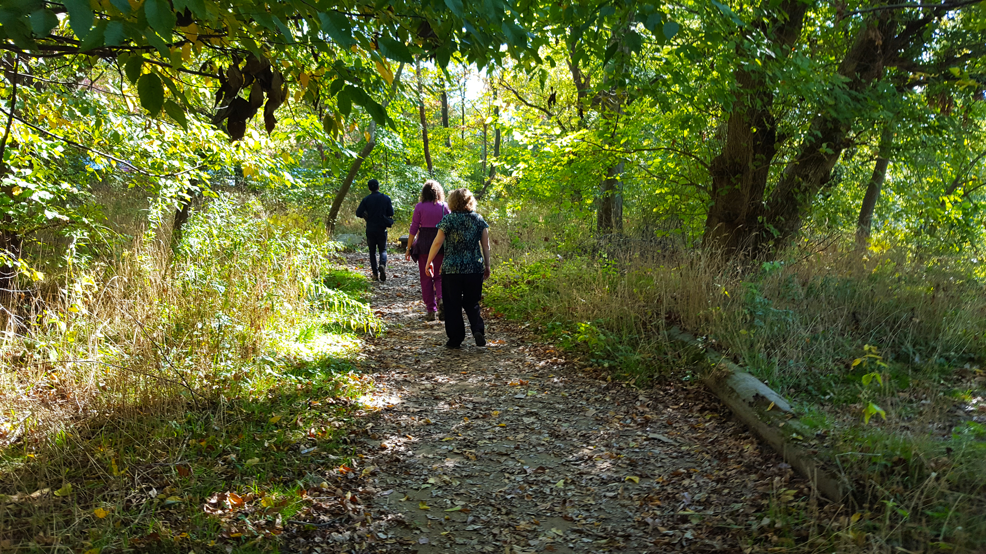 People walking on a nature trail
