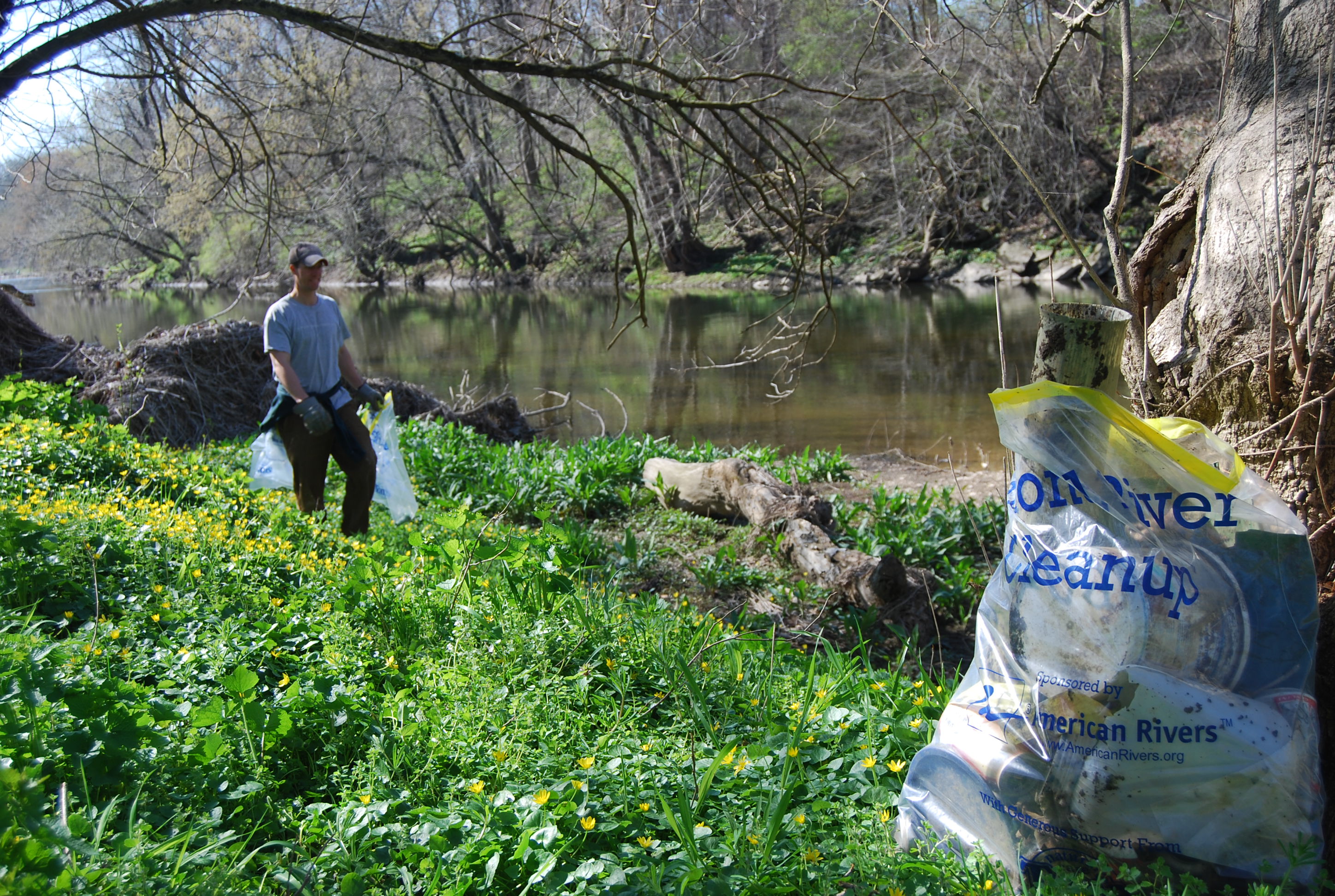 Volunteers cleaning up the river