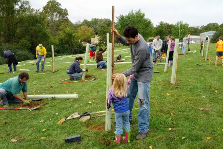 Tree planting