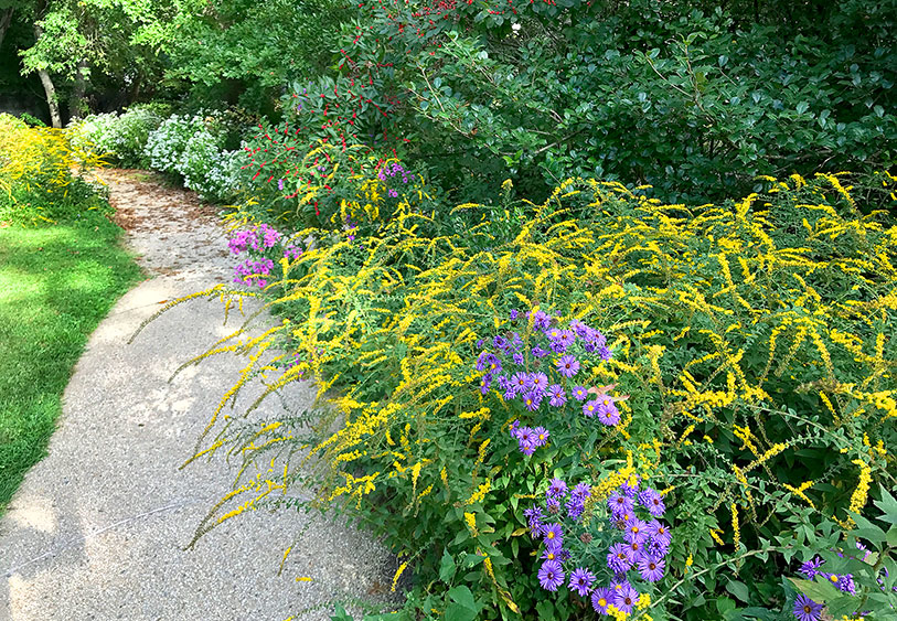 campus garden