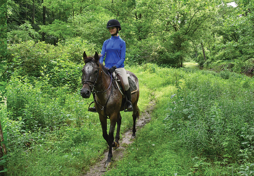 horse riding on trail
