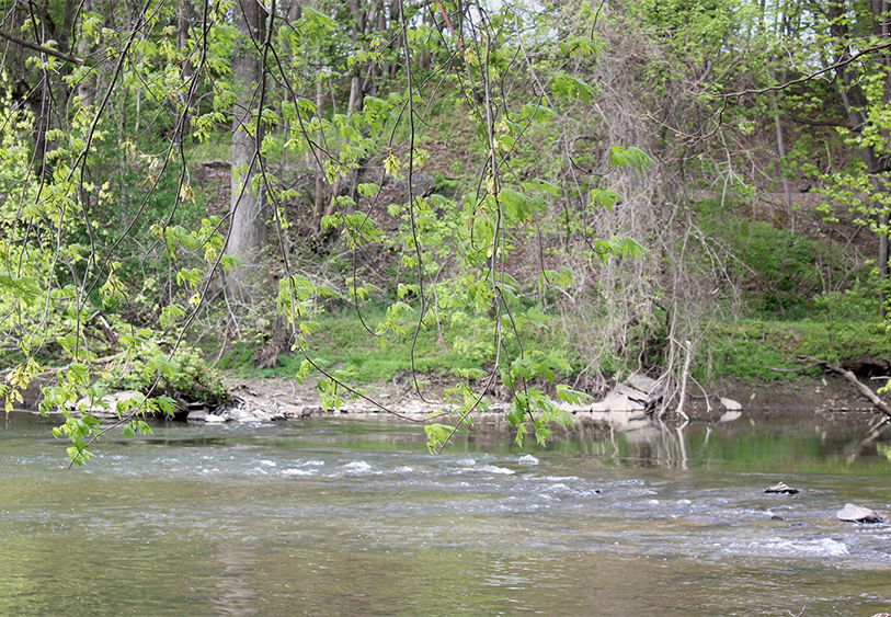 Brandywine River Museum of Art